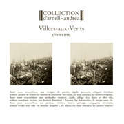 Collection D'Arnell~Andréa- Villers-Aux-Vents (Février 1916)