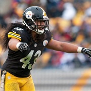 Troy Polamalu