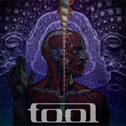Tool - The Grudge (Justin Chancellor)