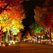 Unter Den Linden, Berlin