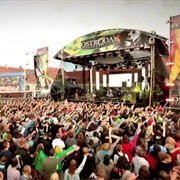 Jamaica's Reggae Festival