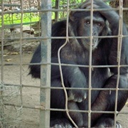 Musée Vivant Bujumbura