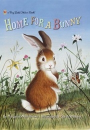 Home for a Bunny (Brown, Margaret Wise)