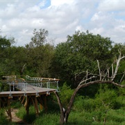 Bentsen-Rio Grande Valley State Park, Texas