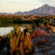 Ash Meadows National Wildlife Refuge