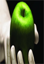 Life and Death (Stephanie Meyers)