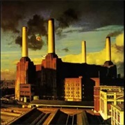 Pigs - Pink Floyd
