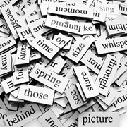 Progress Story - Include the Words You Drew