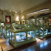 Palazzo Poggi University Museum, Bologna