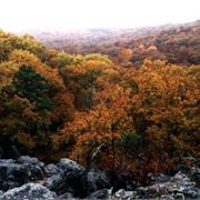 Taum Sauk Mountain, Missouri