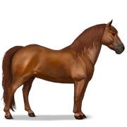 Kerry Bog - Chestnut