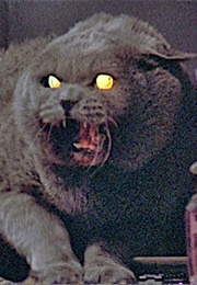 Church, Pet Sematary (1989)