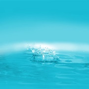 Is Water Wet or Does It Make Things Wet?