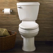 World Toilet Day (Sanitation - November 19)