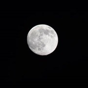 Thinks That the Moon Is Following You