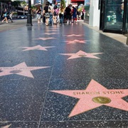 Walk the Hollywood Walk of Fame