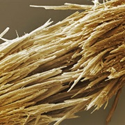 Hair Care Products Can Repair Split Ends/Damaged Hair