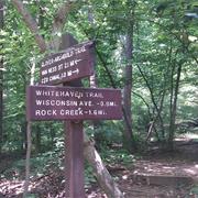 Glover Archbold Trail