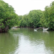 Negombo Lagoon, Sri Lanka