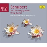 Franz Schubert - String Quartet in D Minor, D810, "Death and the Maiden"