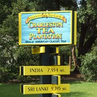 Charleston Tea Plantation