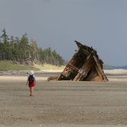 Pesuta Shipwreck, Tlell, British Columbia