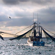 Bayou La Batre, Alabama