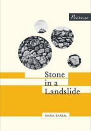 Stone in a Landslide