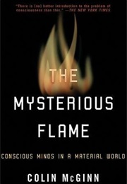 The Mysterious Flame (Colin McGinn)
