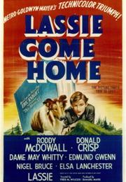Lassie Come Home (1943)