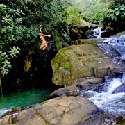 El Yungue National Forest, Puerto Rico