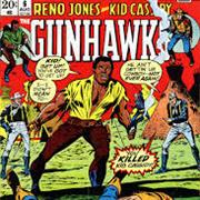The Gunhawks