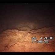 Fatal Diving Incident