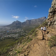 Climb Table Mountain, Cape Town, South Africa