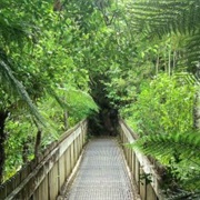 Cascade Walkway - Medium (4 Hours)