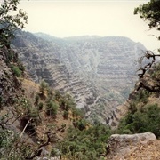 Foret De Day National Park, Djibouti
