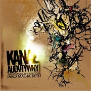 Kanał Audytywny - Neurofotoreceptoreplotyka Jako Magia Bytu