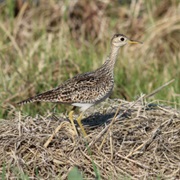 Slade National Wildlife Refuge