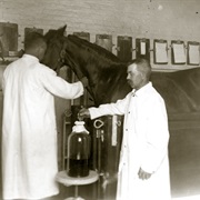 Developed New Serum for Diphtheria (1913)