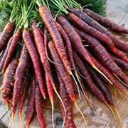 Purple Carrot