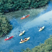 Mangrove Info & Kayak Center, Bonaire