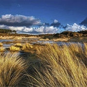 Zuid-Kennemerland National Park