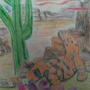 Gila Monster Angelina Jensen