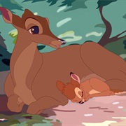 Bambi&#39;s Mom, Bambi