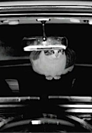 Cat, a Girl Walks Home Alone at Night (2014)