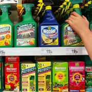 Stop Using Pesticide