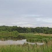 Coldwater River National Wildlife Refuge