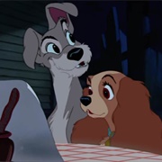 Lady X Tramp