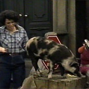 Spot (Sesame Street)