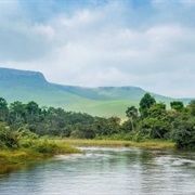 Dimonika Biosphere Reserve